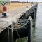 El cono Marine Dock Fender BV CCS de la cena de la defensa del palmo de la larga vida aprobó